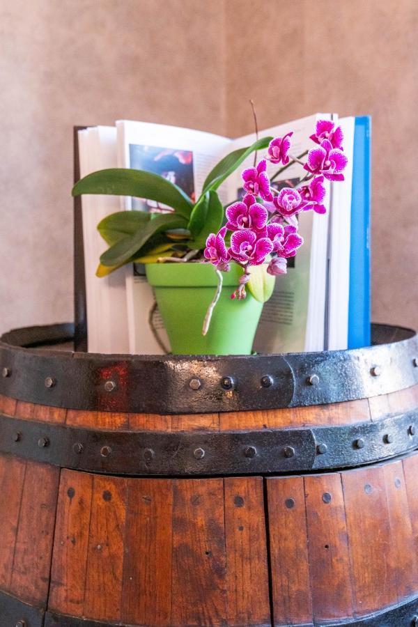 Flocourt Flopre Bed & Breakfast エクステリア 写真